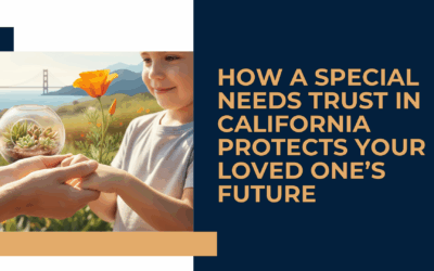 How a Special Needs Trust in California Protects Your Loved One’s Future